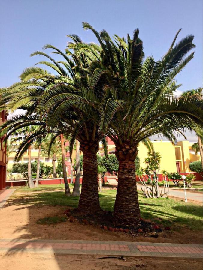 Parque HolandesPax Et Bonum公寓 外观 照片